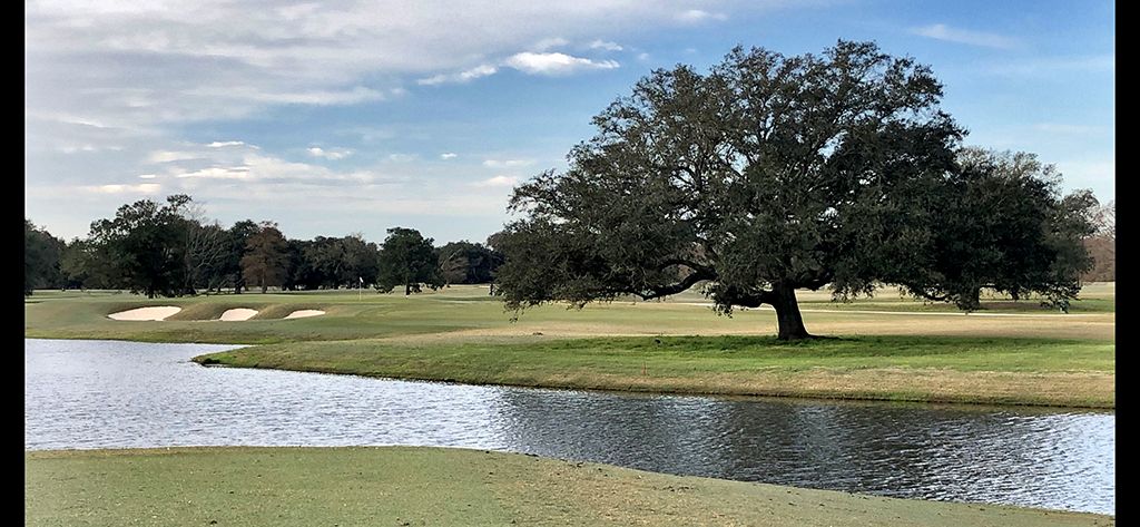 Bayou Oaks City Park (South)